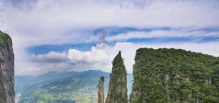 梦幻糖果森林逃生